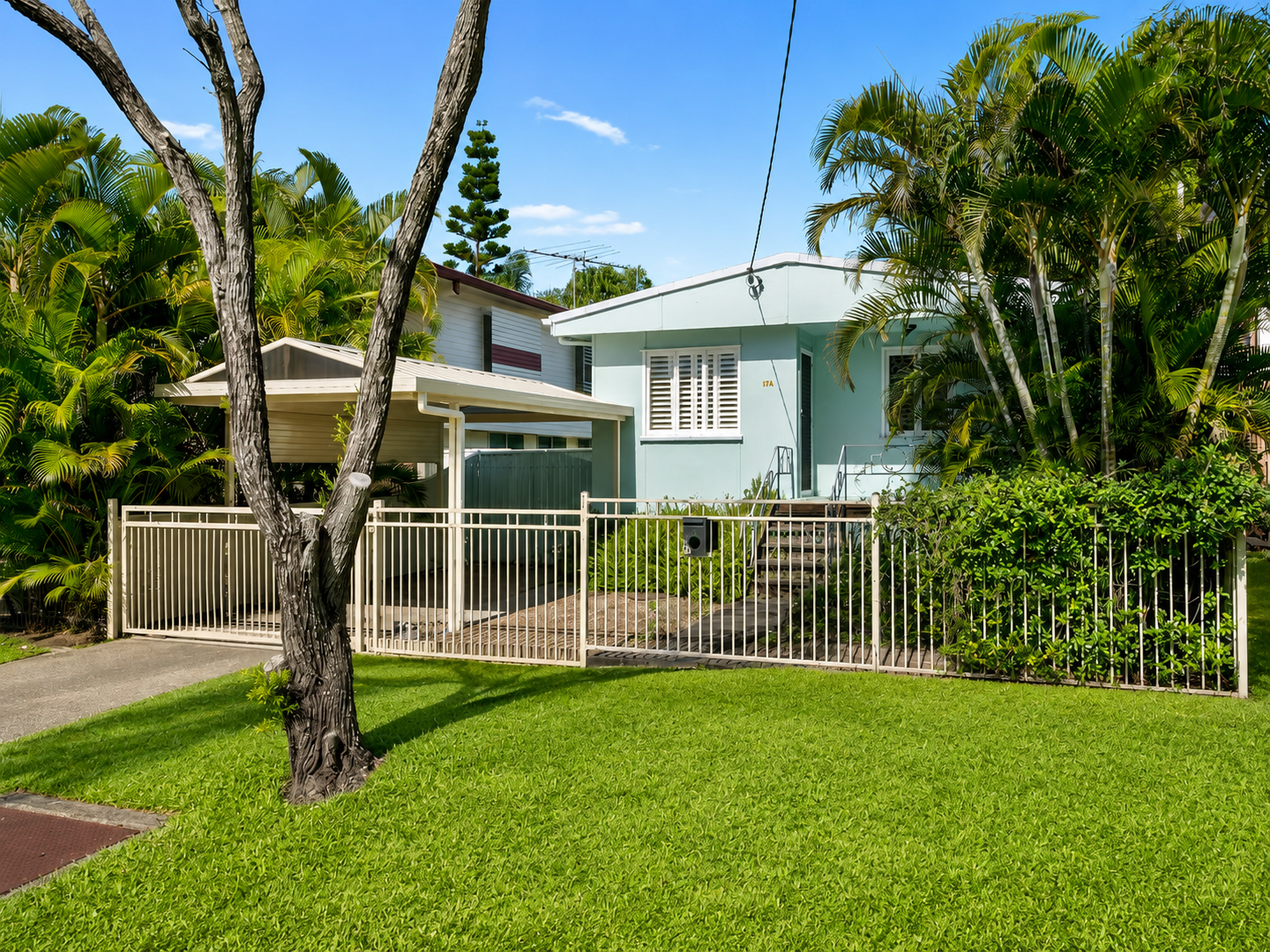 Ella Street1